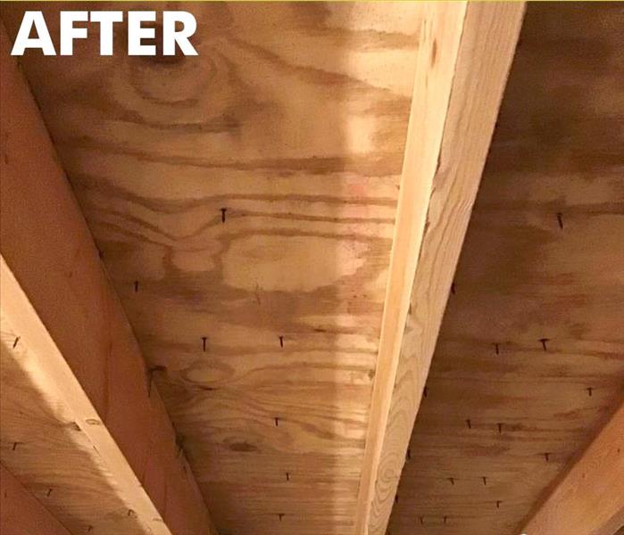 A Plymouth homeowner's attic after mold remediation