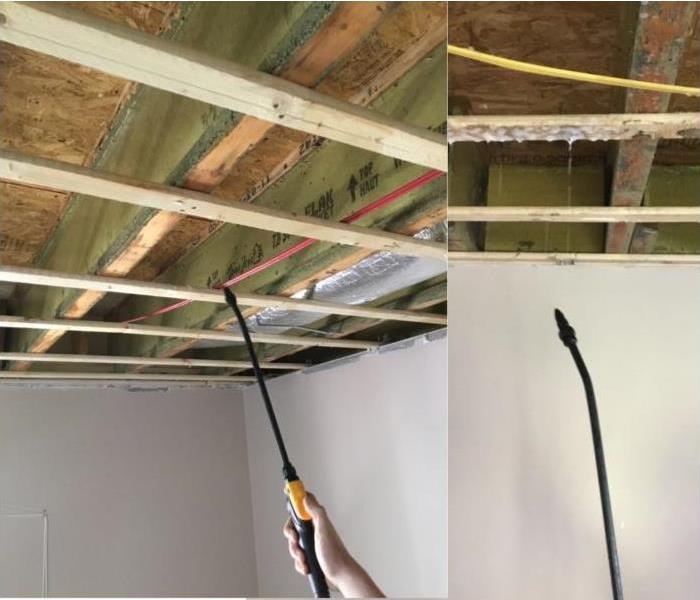 ceiling with drywall removed and an application wand spraying a solution on the wood